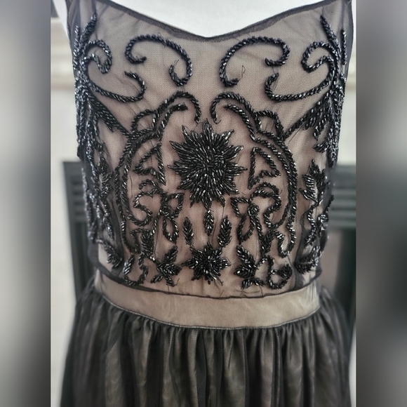 MIA JOY Dress w Embroidered Top and Sheer Bottom NWT - Picture 3 of 5